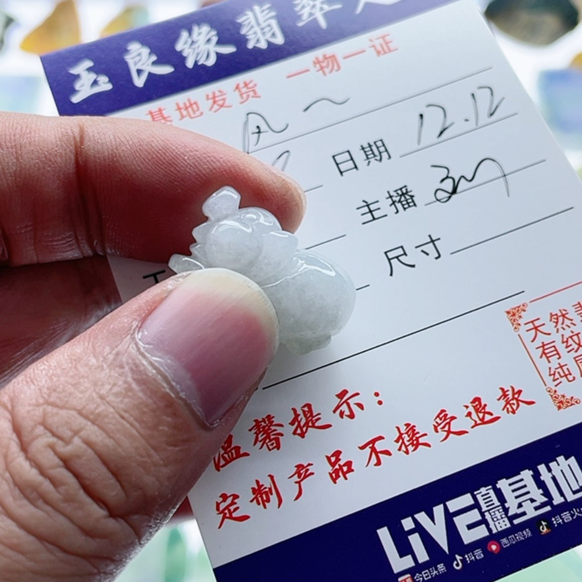 【闪购商品】翡翠颈饰未镶嵌风***.