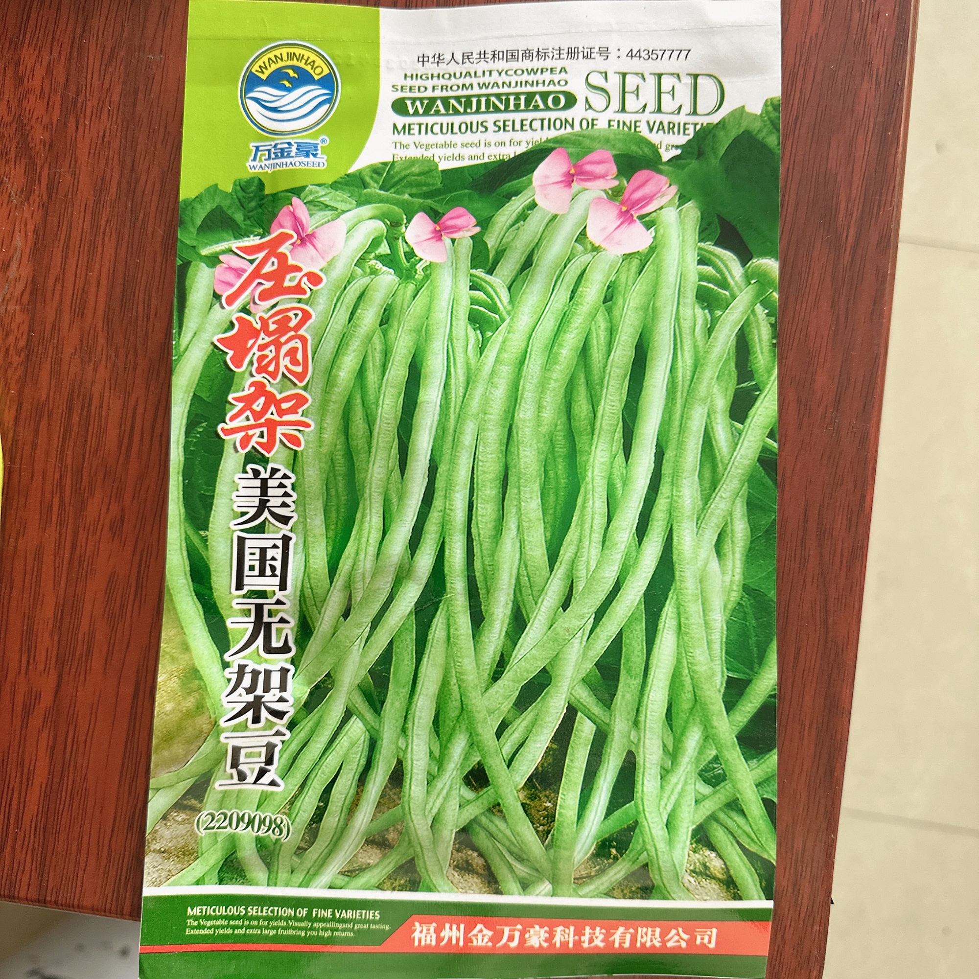 【四季可播】压塌架美国无架豆盆栽庭院蔬菜籽1袋80克