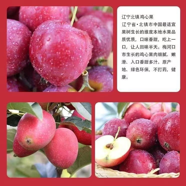东北特产鸡心果锦绣海棠果糖心小苹果酸甜可口多汁