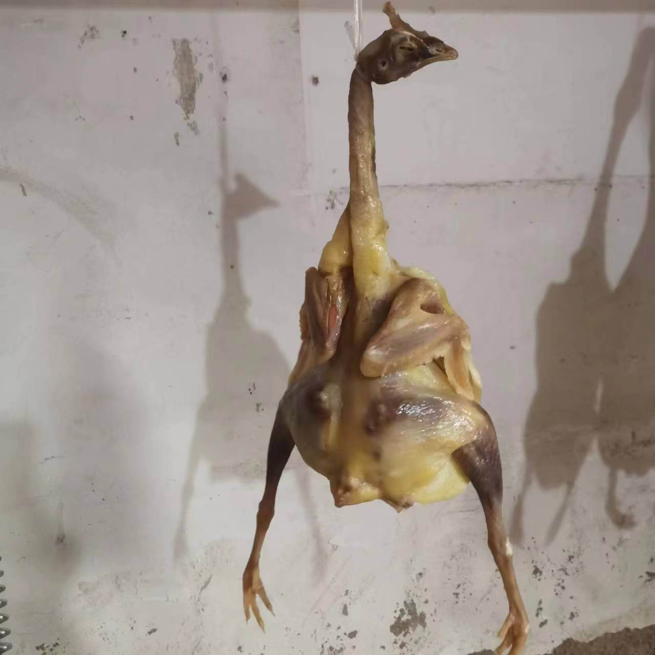 【二荣农场】农家自晒咸鸡风干鸡腌制干货