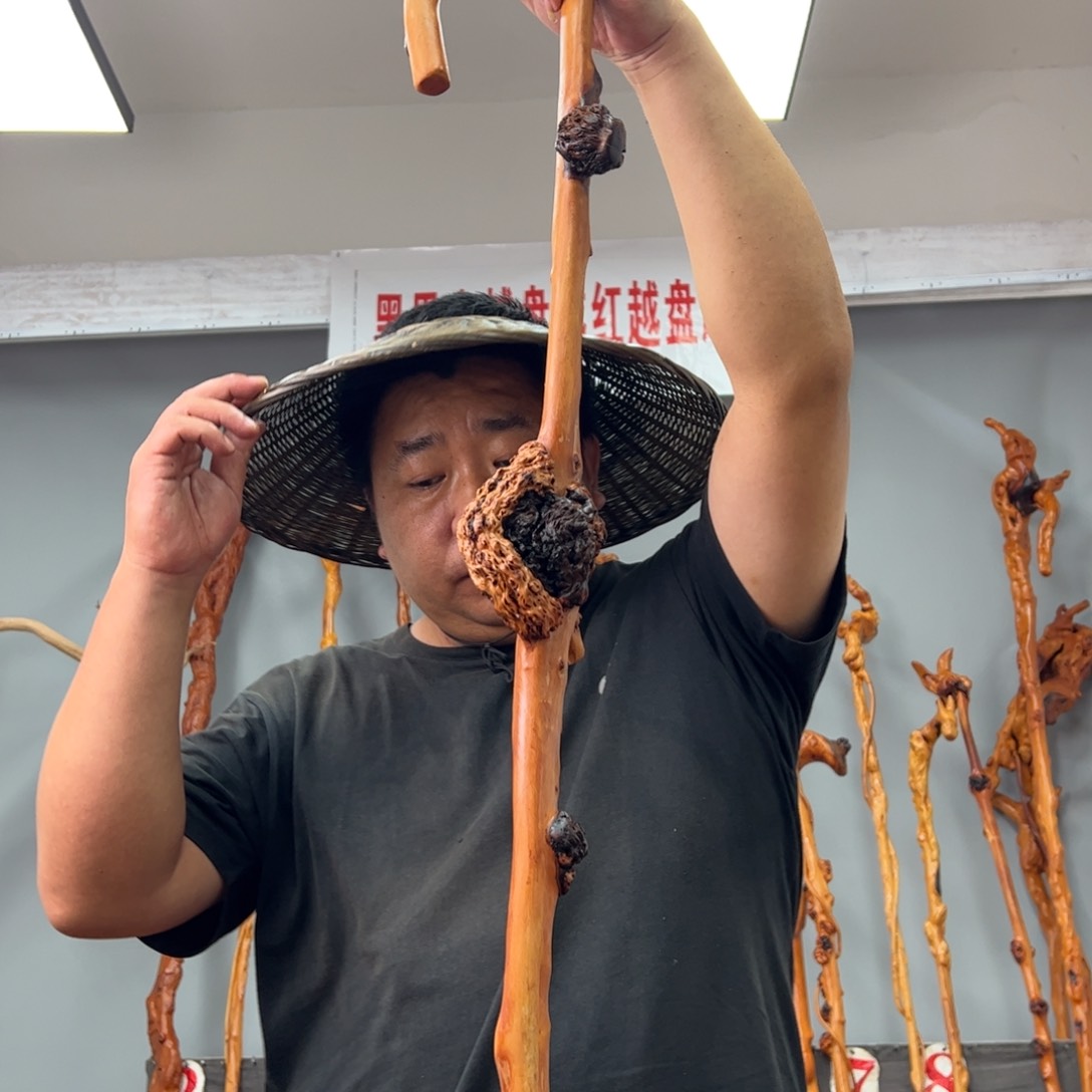 黑果木其他黑果木728