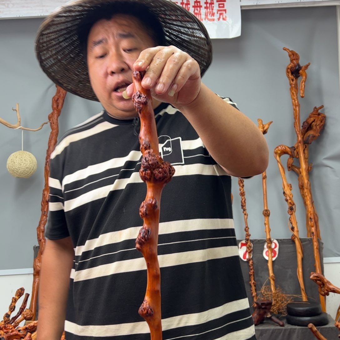 黑果木其他黑果木858