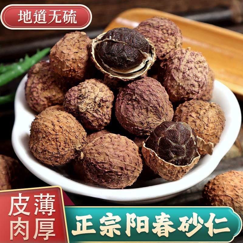 阳春春砂仁正宗阳江特产沙仁阳春砂广东砂仁中药材