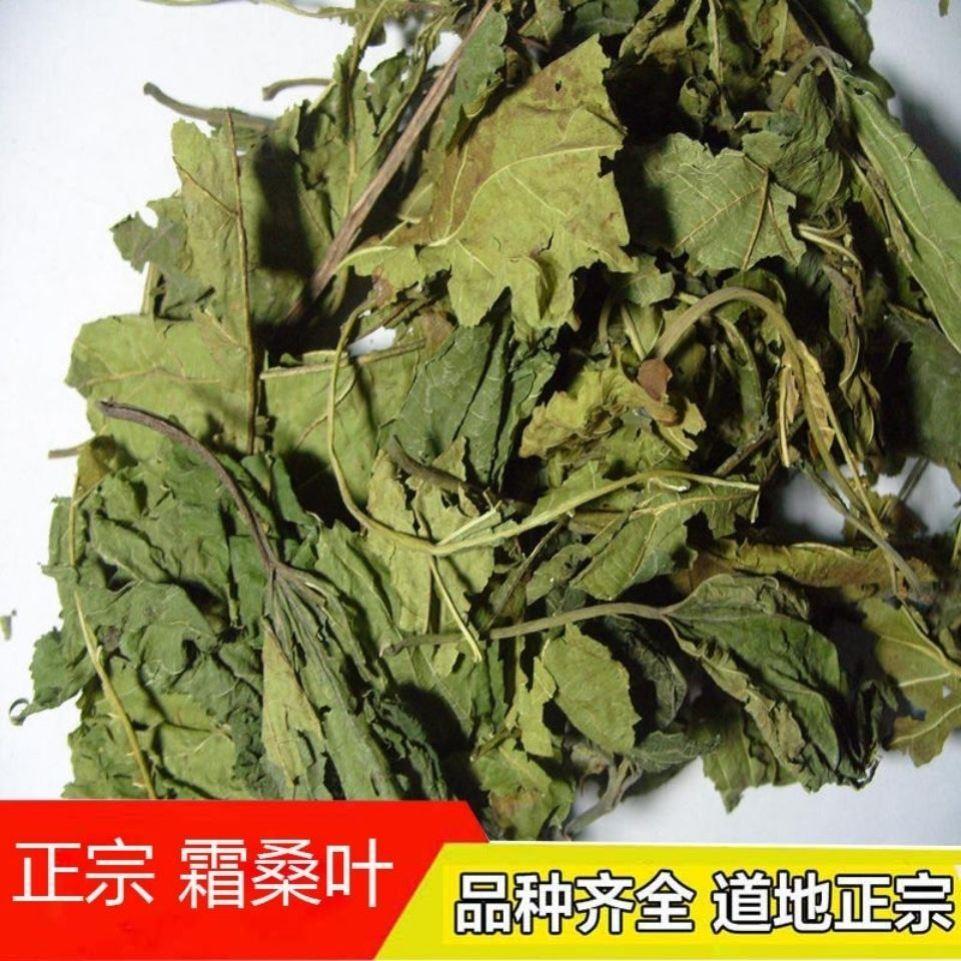 正宗霜桑叶干中草药霜打霜后霜搭玉米须决明子