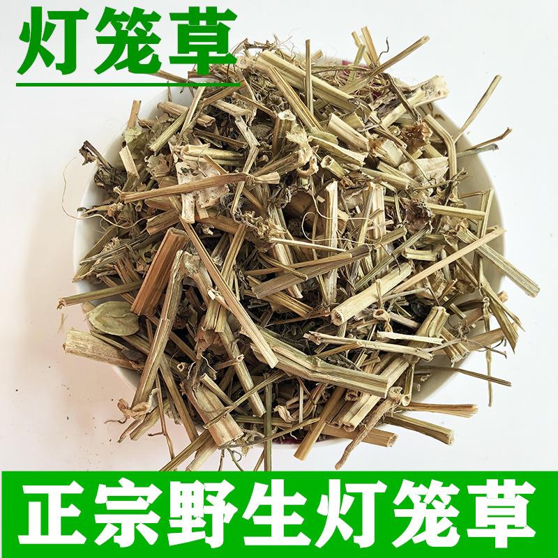 年广西玉林正宗灯笼草无硫晒干干货切段