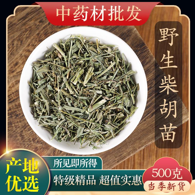 柴胡苗 小柴胡苗北柴胡苗 竹叶柴胡 新货