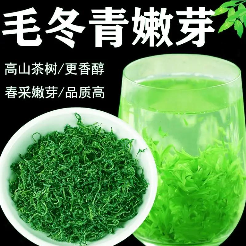 毛冬青茶云南青山绿水嫩芽100g500g青山绿水茶包邮
