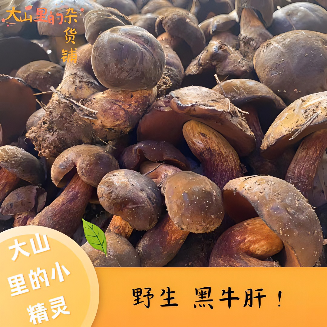  云南新鲜【野生黑牛肝】口感鲜美肉质细腻脆香可口1斤2斤顺丰空运