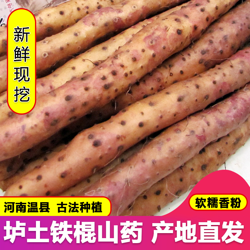 河南焦作正宗温县垆土铁棍山药3/5斤新鲜怀山药软糯营养营养丰富