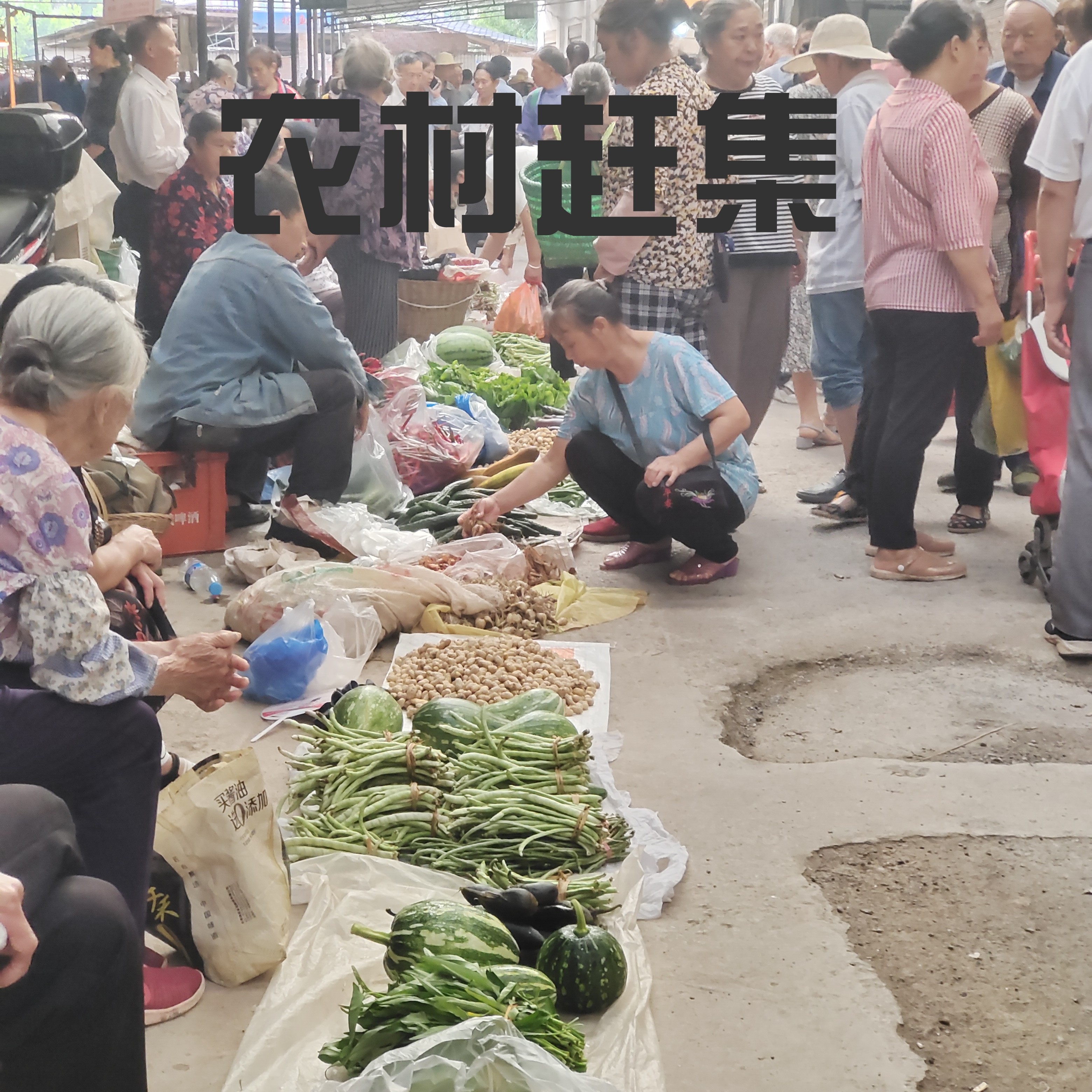 曾毛儿乡村赶集蔬菜代购