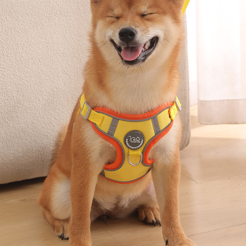 背心式狗狗牵引绳中小型犬小狗胸背带泰迪博美柴犬幼犬狗链子