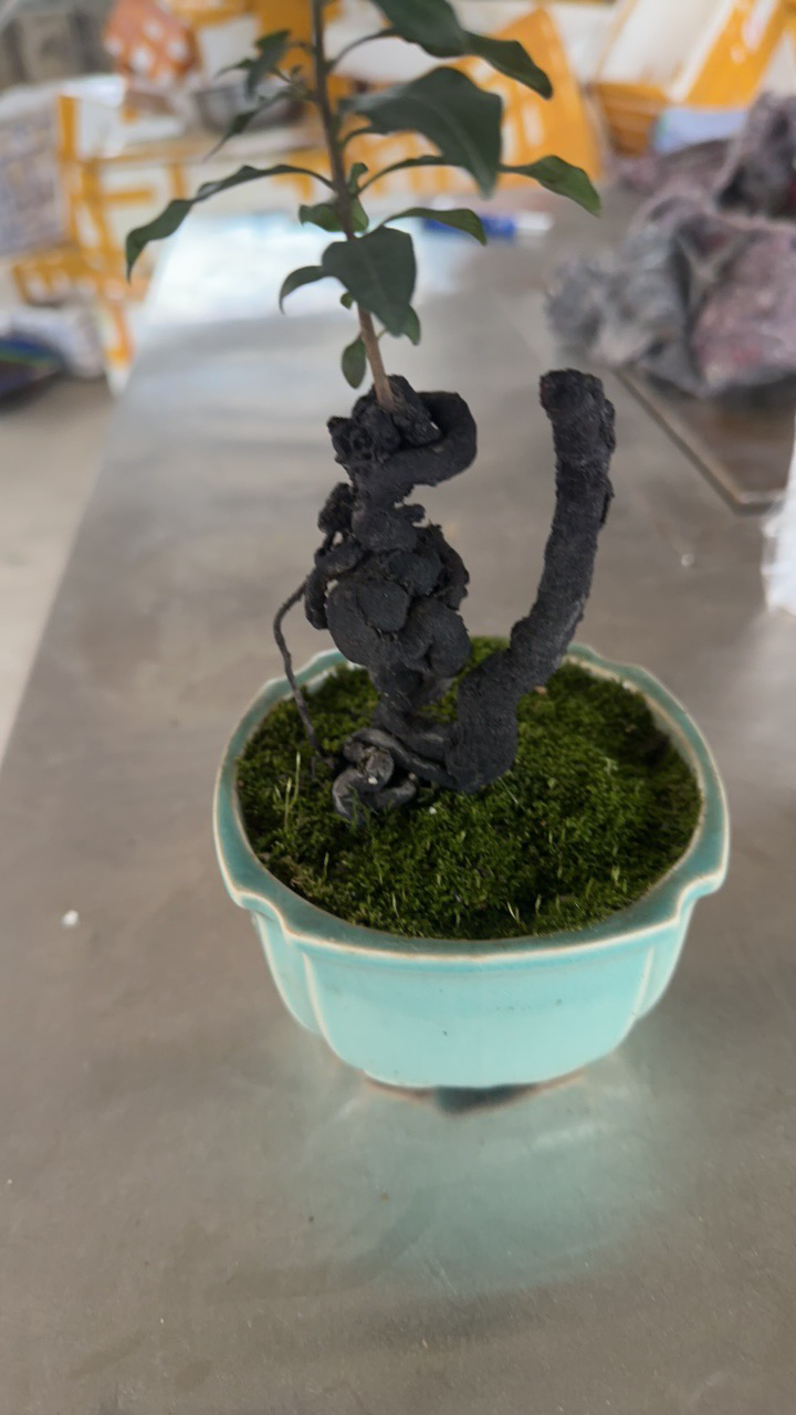 金弹子瓶兰花茶台小品全部价