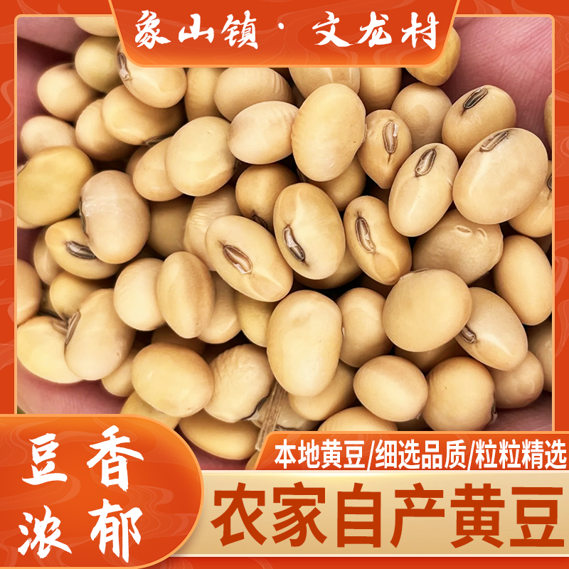 （新黄豆）大英县象山镇文龙村村民自种老品种黄豆