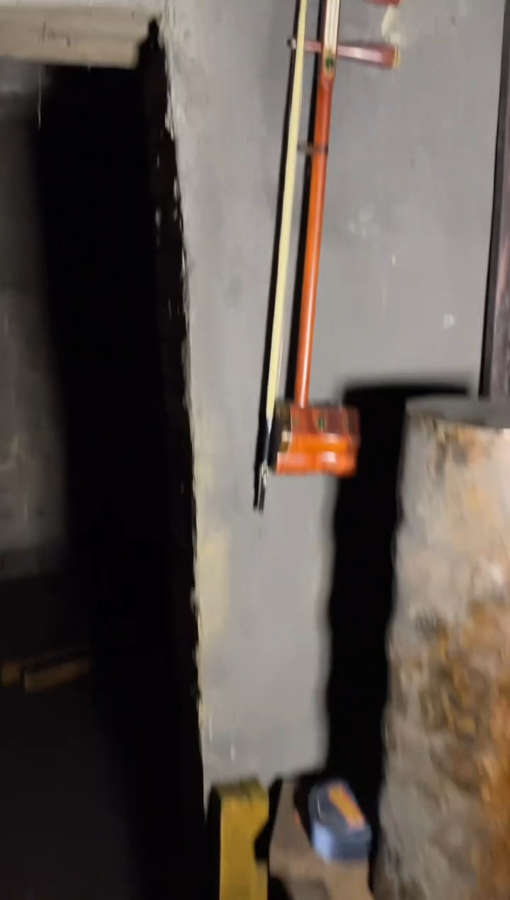 【闪购商品】红贵宝39