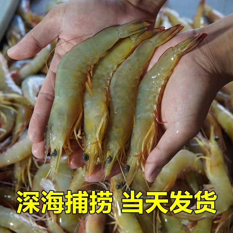 【当天海捕明虾】九节虾竹节虾海虾斑节虾生鲜5斤