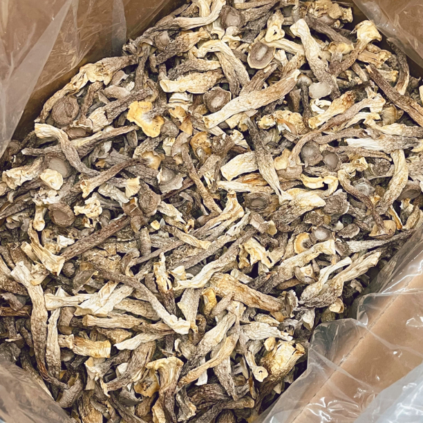 【大海干货店】精品鹿茸菇