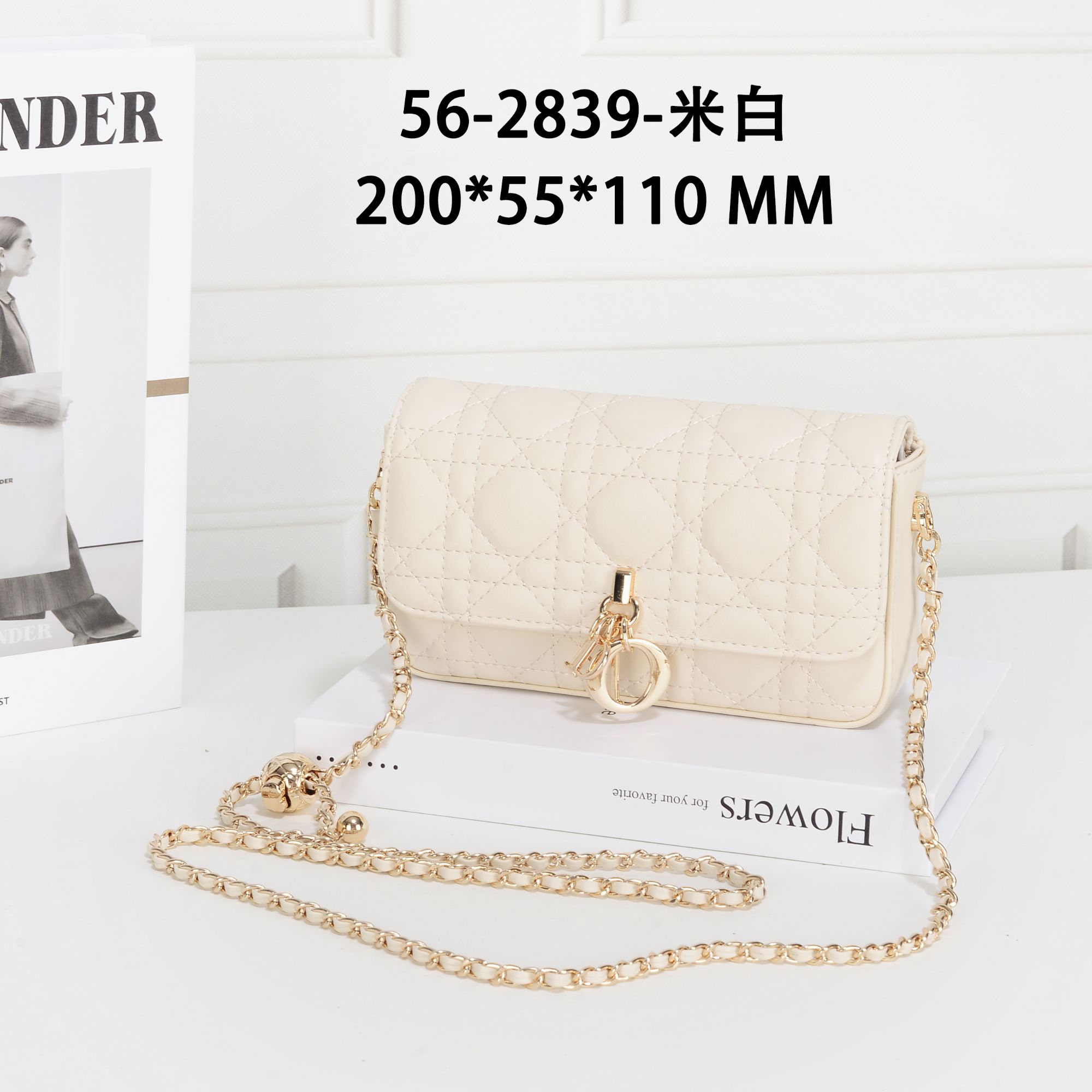 GQ-2839-米白-轻奢小众时尚百搭女士包包