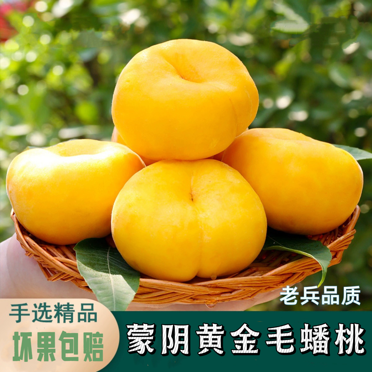 正宗 蒙阴黄金毛蟠桃 (放软后纯甜 )现摘现发 当季新鲜水果 