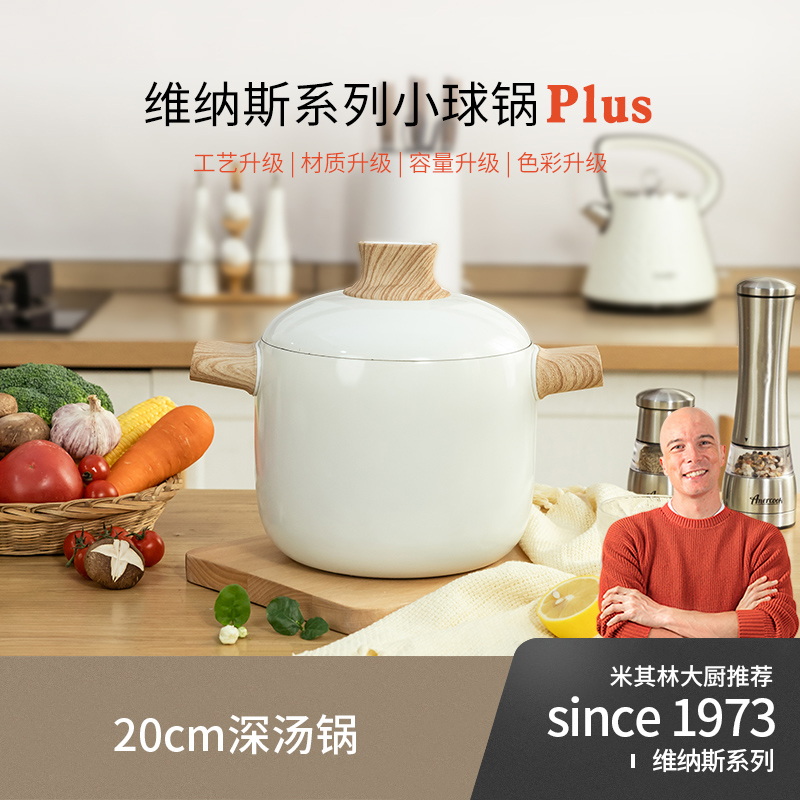Amercook/阿米尔维纳斯高汤锅20cm炖煲煮面适用于4-6人使用
