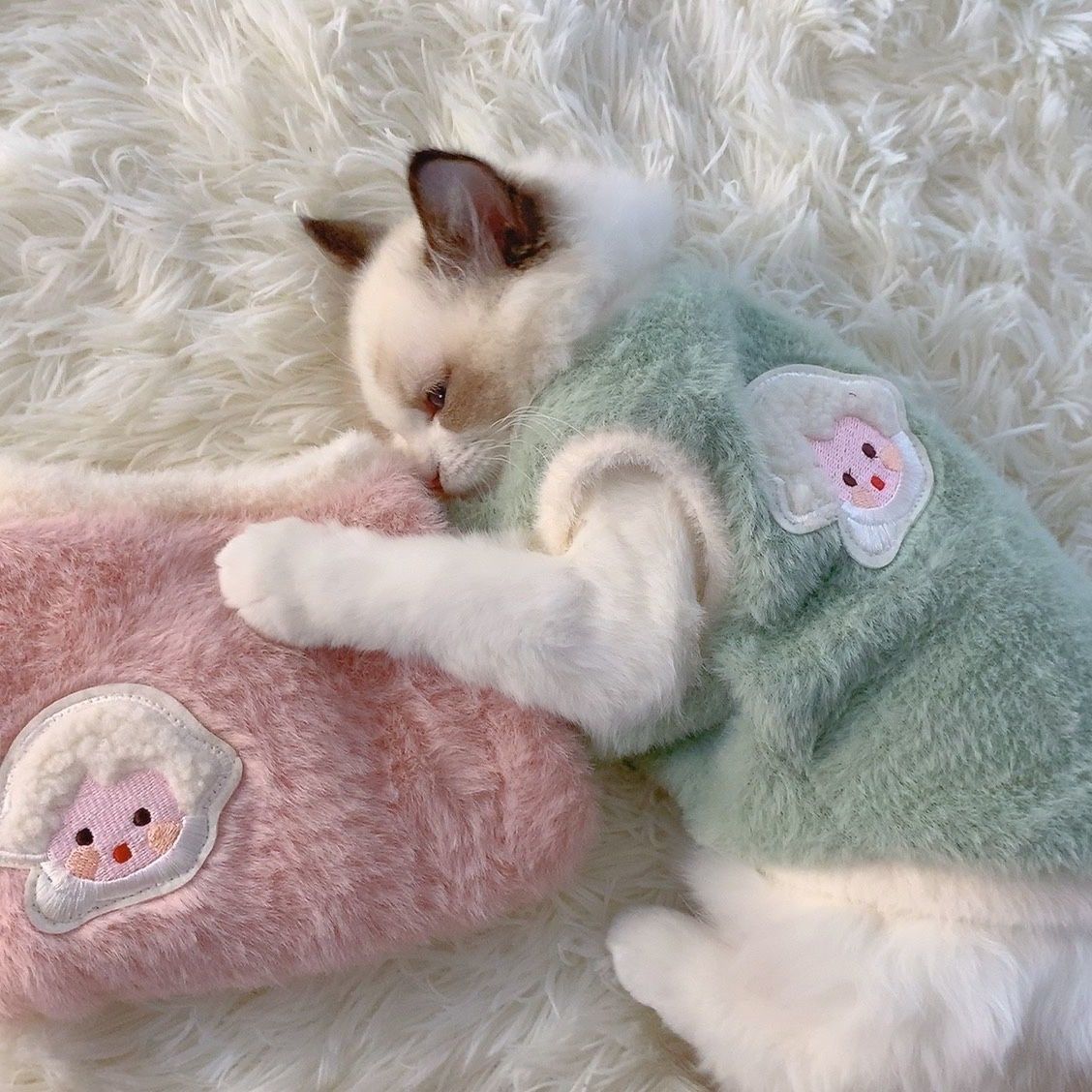 秋冬季宠物猫咪衣服布偶英短银渐层幼崽可爱加厚保暖防掉毛棉衣潮