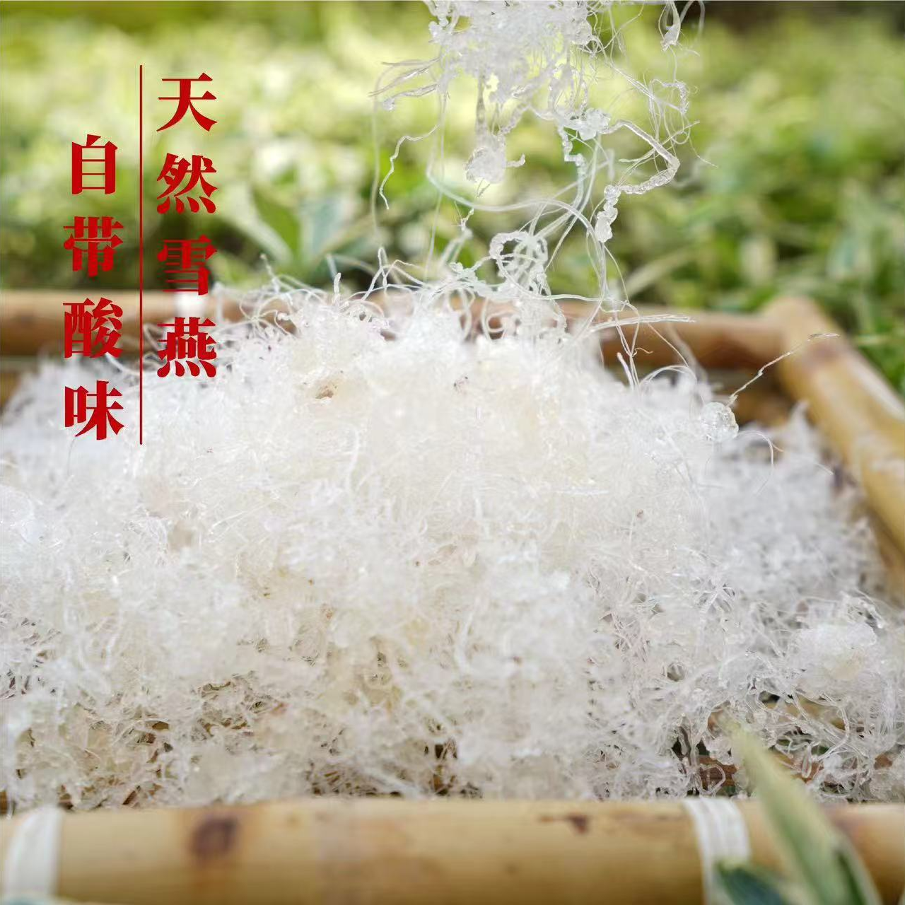 高山 土货 冰晶拉丝龙须雪燕  天然雪燕自带酸味