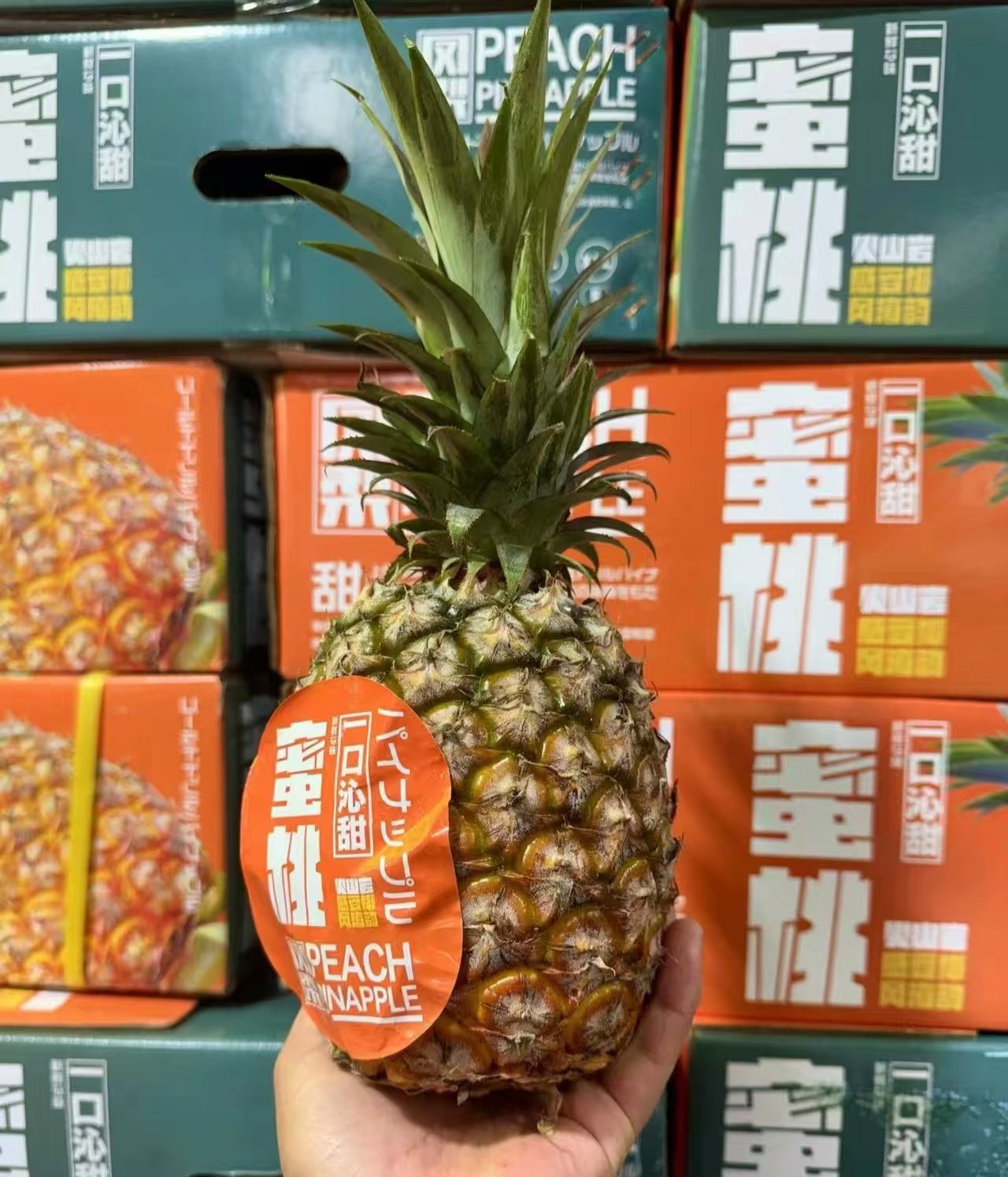 蜜桃凤梨1个约2斤菠萝神仙吃法