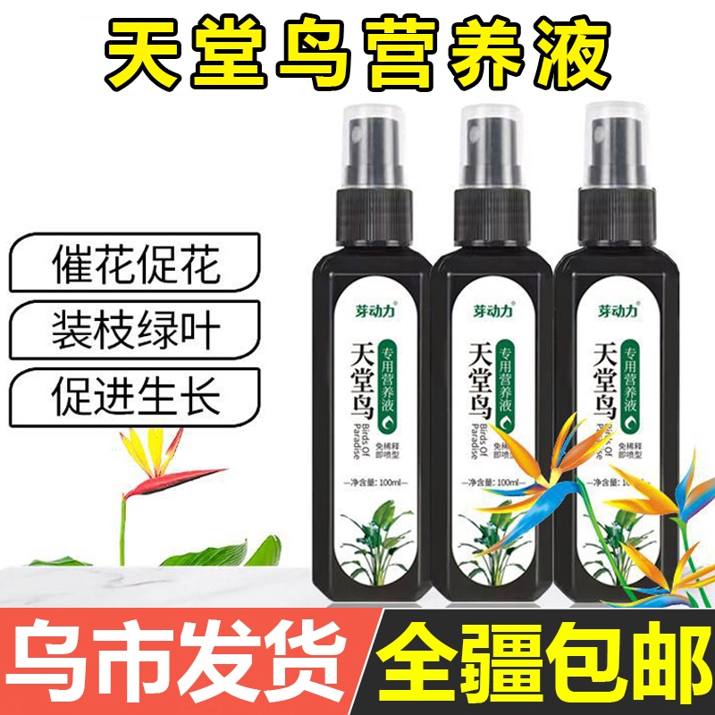 天堂鸟龟背竹营养液发黄叶卷边客厅绿植物治开裂专用肥料防卷叶