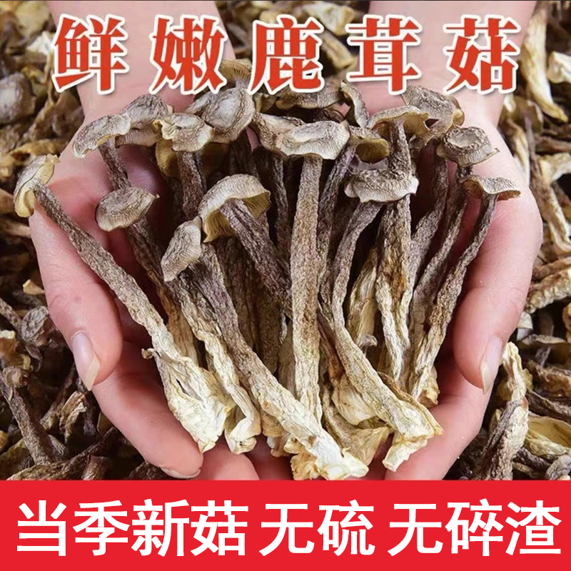 【精选】鹿茸菇干货脆脆菇鹿茸菌菇香菇煲汤食材散装100g/250g炖汤