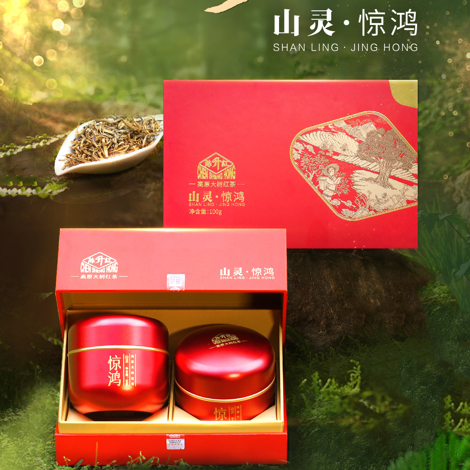 陈升红红茶山灵惊鸿100g高原大树红茶金芽礼盒
