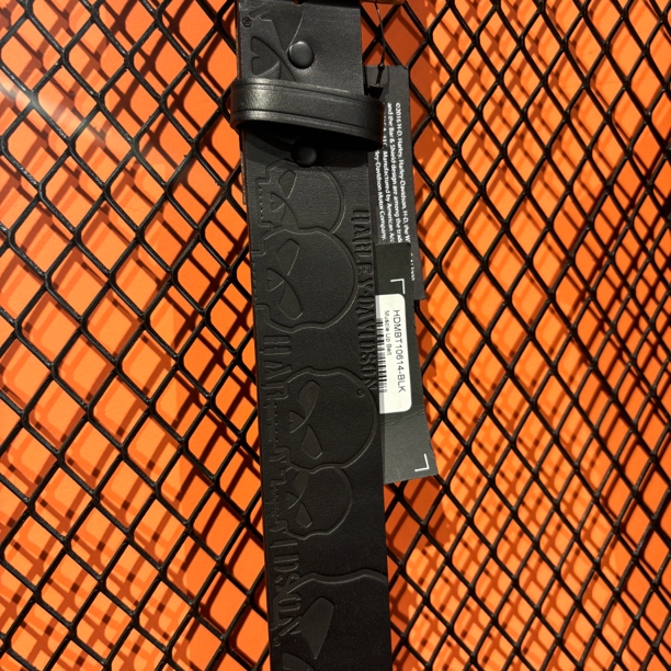 哈雷戴维森皮带骷髅10614