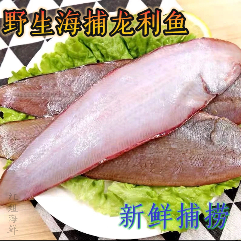 连云港发货 野生海捕舌头鱼 龙利鱼