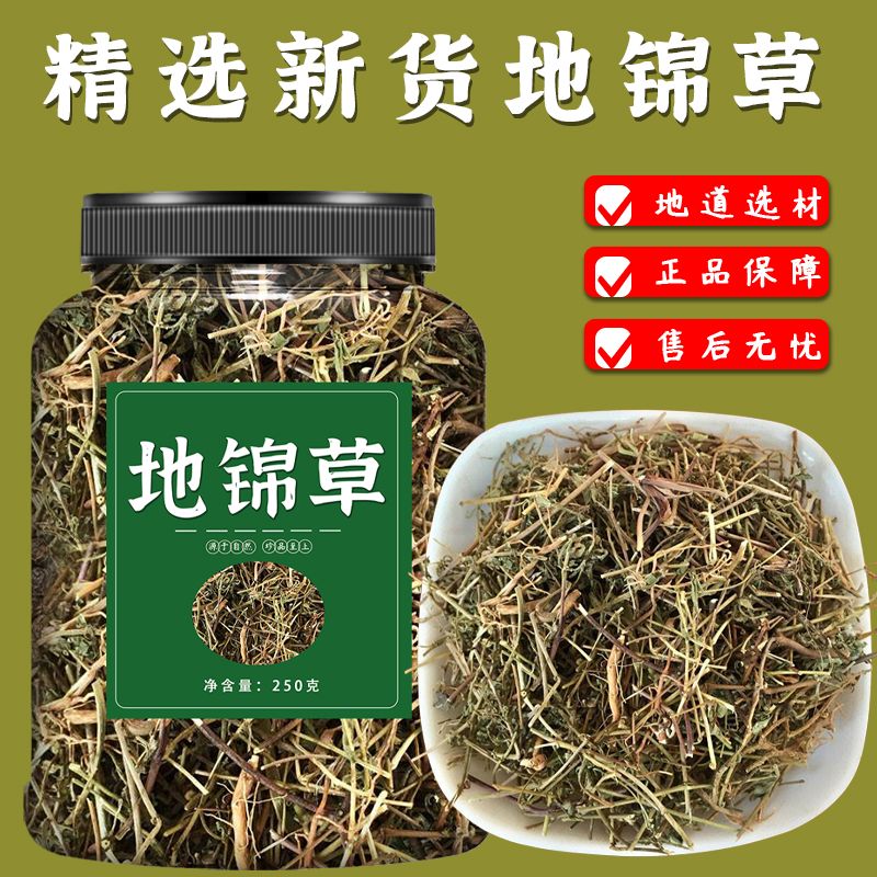 地锦草当季新货新鲜干货地锦草种子地锦草粉泡水喝的作用