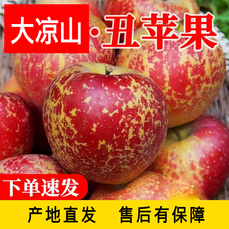 【直发】四川大凉山丑苹果冰糖心新鲜水果当季脆甜红富士5-当季水果