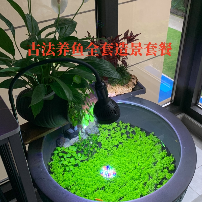 古法养鱼生态造景套餐不包含鱼缸陶瓷配套安装发货