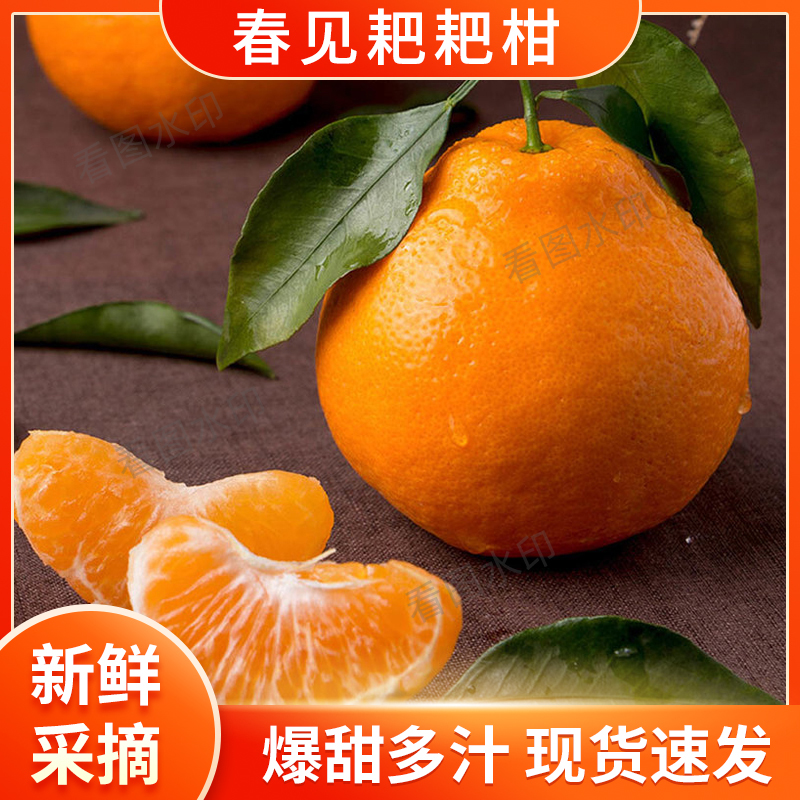 【飞飞白 福利】正宗四川春见耙耙柑新鲜水果现摘爆甜多汁4.5斤