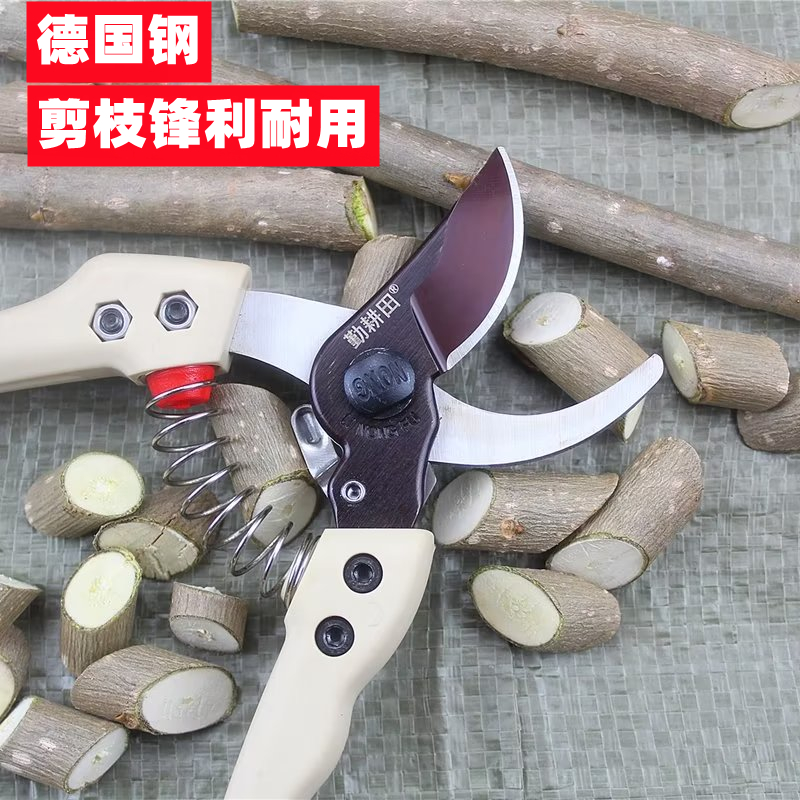 不锈钢130S修枝剪剪树枝专用剪刀园林果树剪家用花艺园艺剪枝剪子