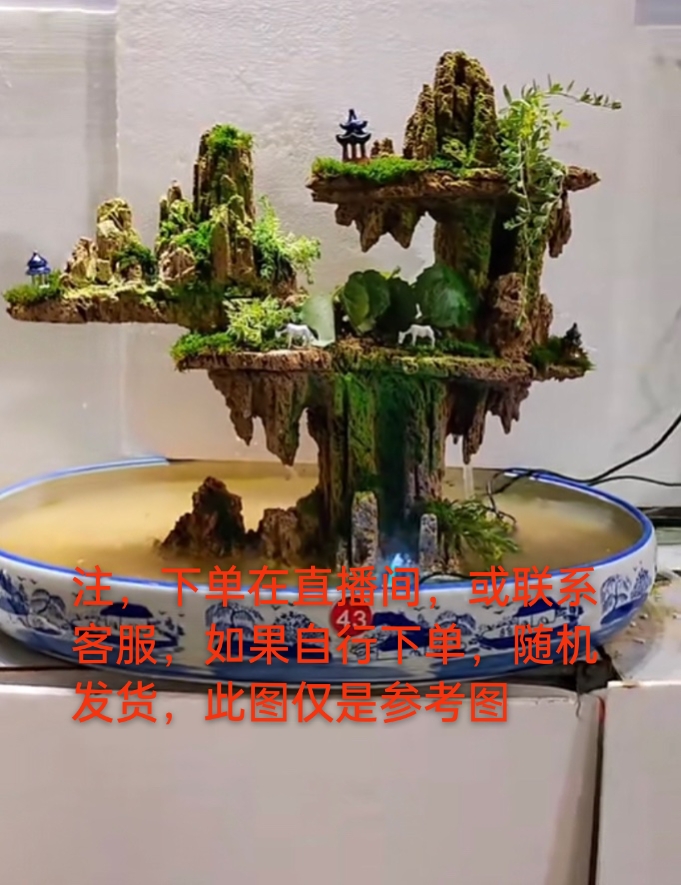 吸水石绿植盆景假山(直播间一物一拍，都是精品)