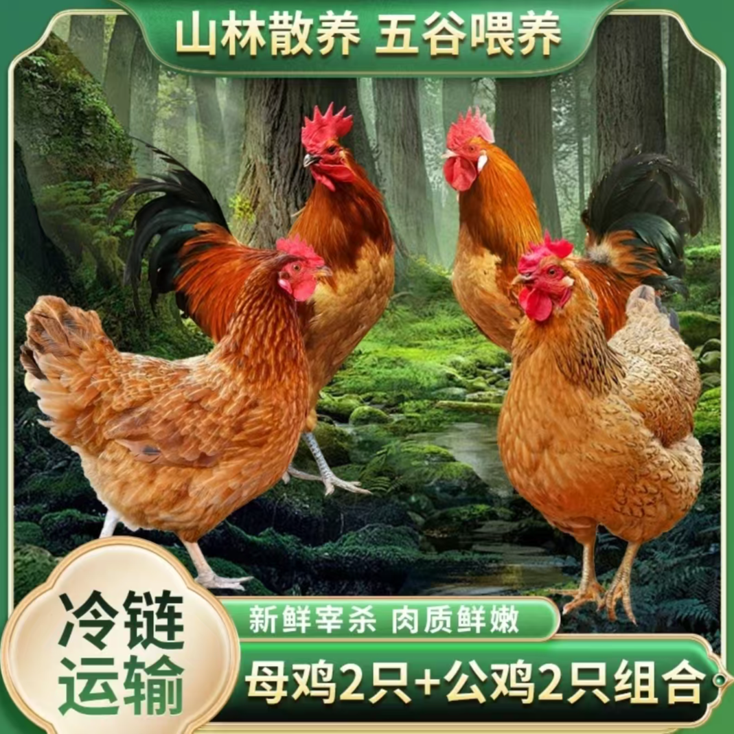 【年年家】放养老母鸡2只+2只土公鸡 发4只净重10-11斤 带内脏