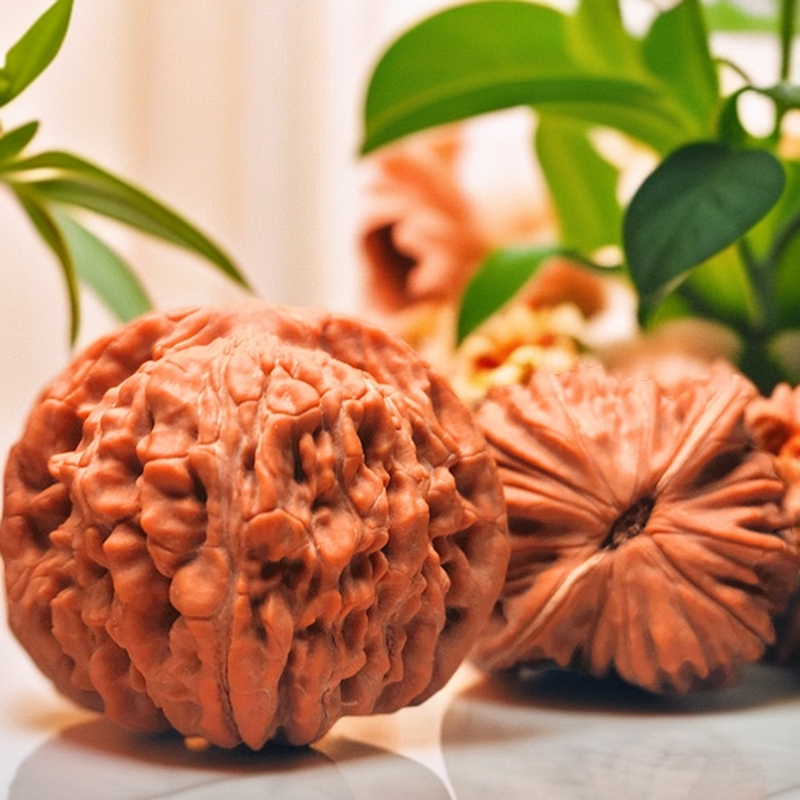 文玩核桃天然野生手把件盘玩狮子头虎头官帽满天星一对