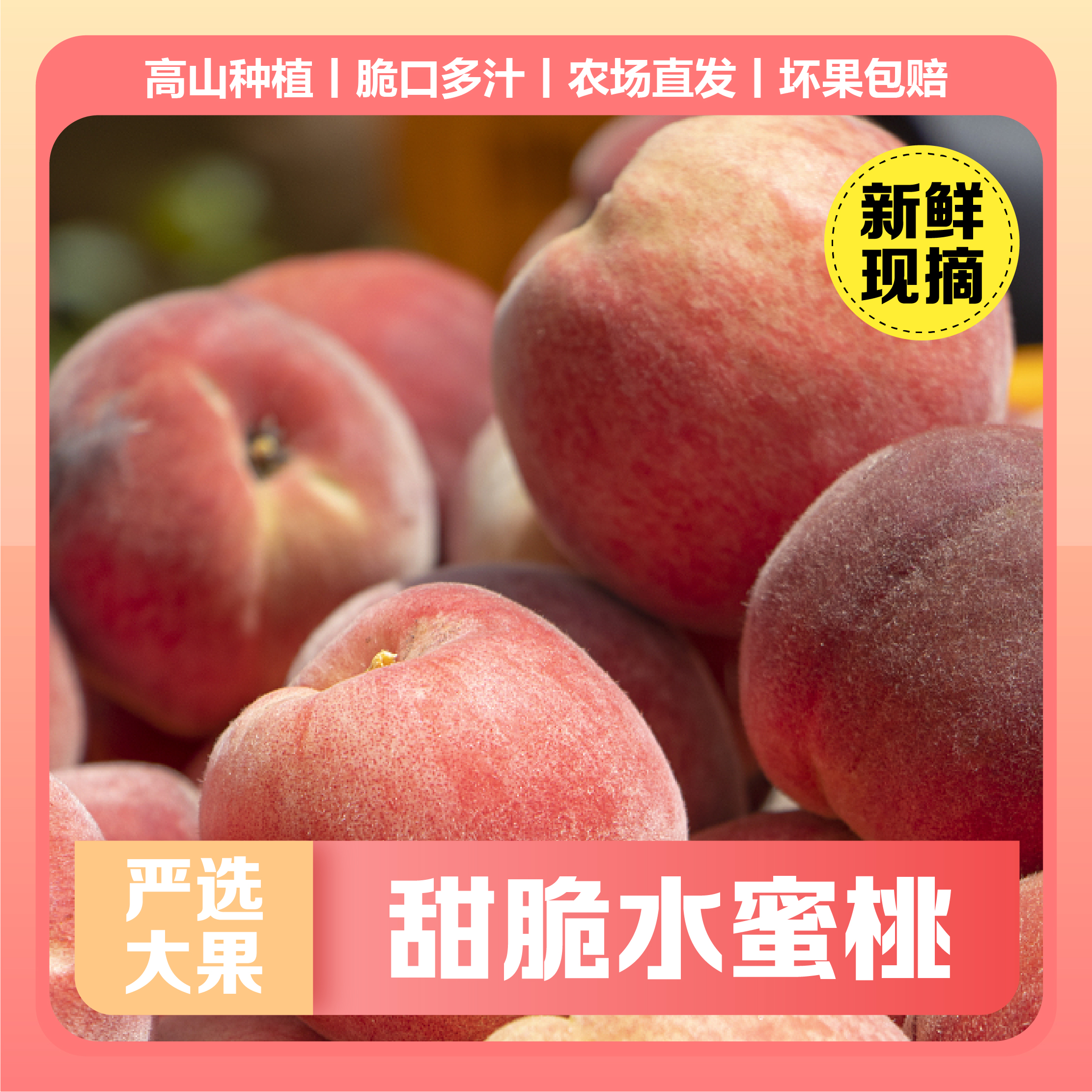 【果园直发】现摘新鲜桃子水蜜桃清甜脆口超甜果香水果毛桃包邮