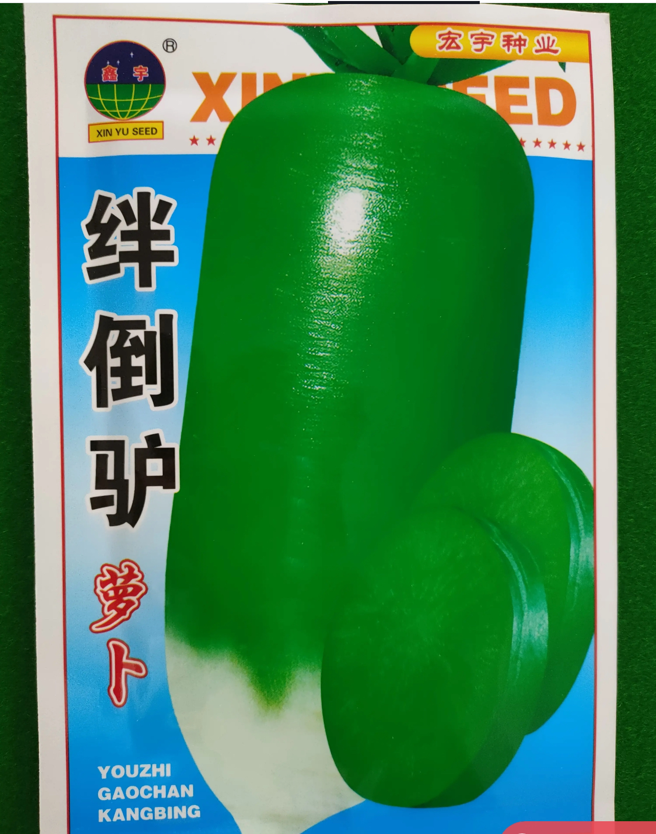 绊倒驴萝卜种子（生吃脆甜）