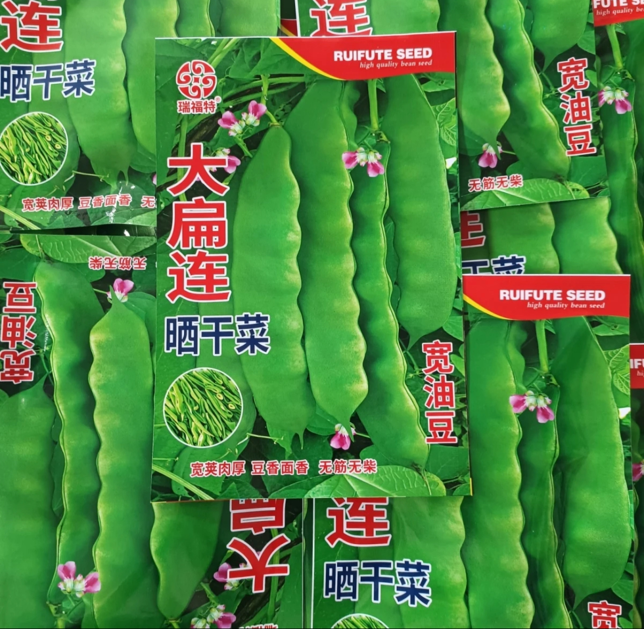 大扁连晒干菜宽油豆豆角种子