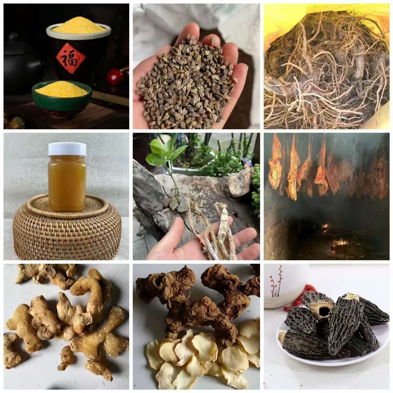 1号.神农架高山【现场称秤】笋农架明霞代卖农夫产品