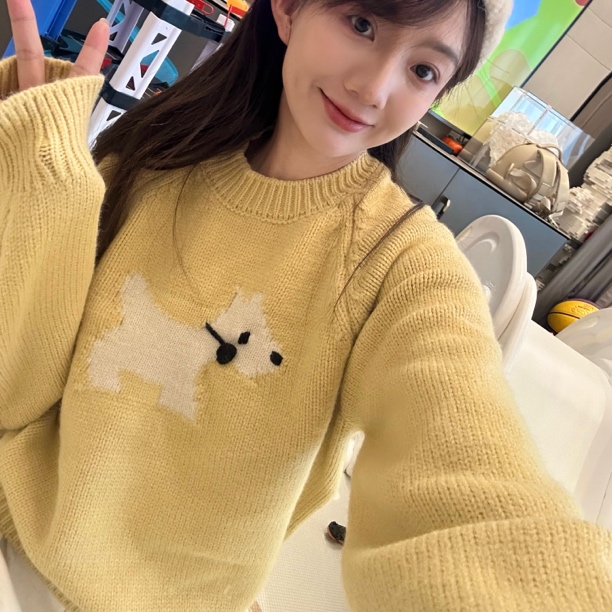 毛小兔2024圆领宽松小狗提花毛衣女秋冬新款慵懒风针织衫长袖上衣