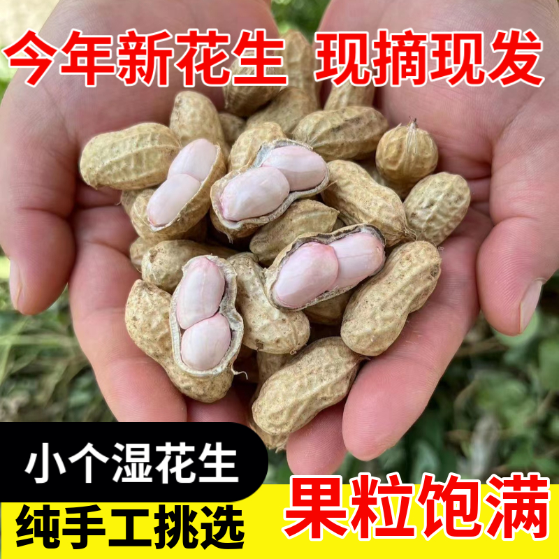 安徽明光新鲜湿花生小个花生现挖泥花生2500g