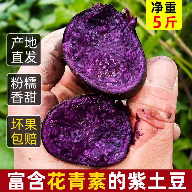 新鲜黑土豆黑金刚黑美人紫皮紫心黑色马铃薯蔬菜洋芋5斤马铃薯