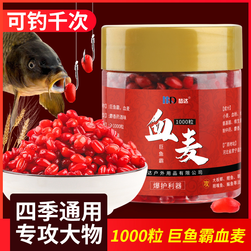 【邓老师推荐】钓鱼小麦粒血麦饵料谷道香野钓鲫鱼鲤鱼草鱼四季通