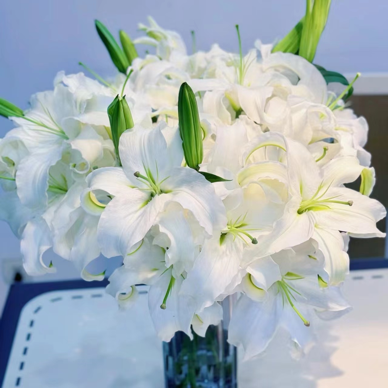 【西伯利亚】西伯利亚香水白百合 | 全场任意满两单鲜花顺丰包邮