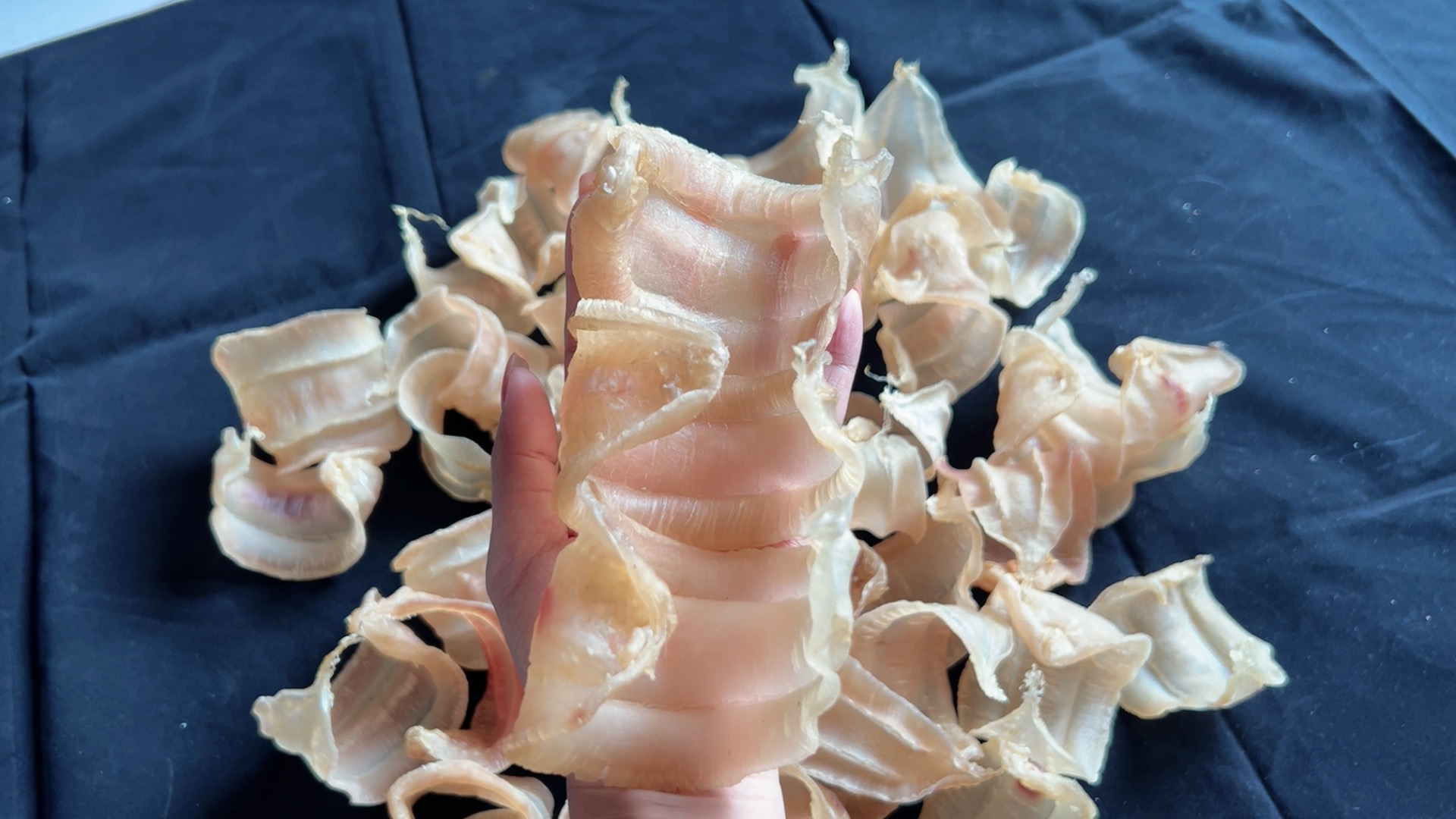 58头三门土鳘公500克