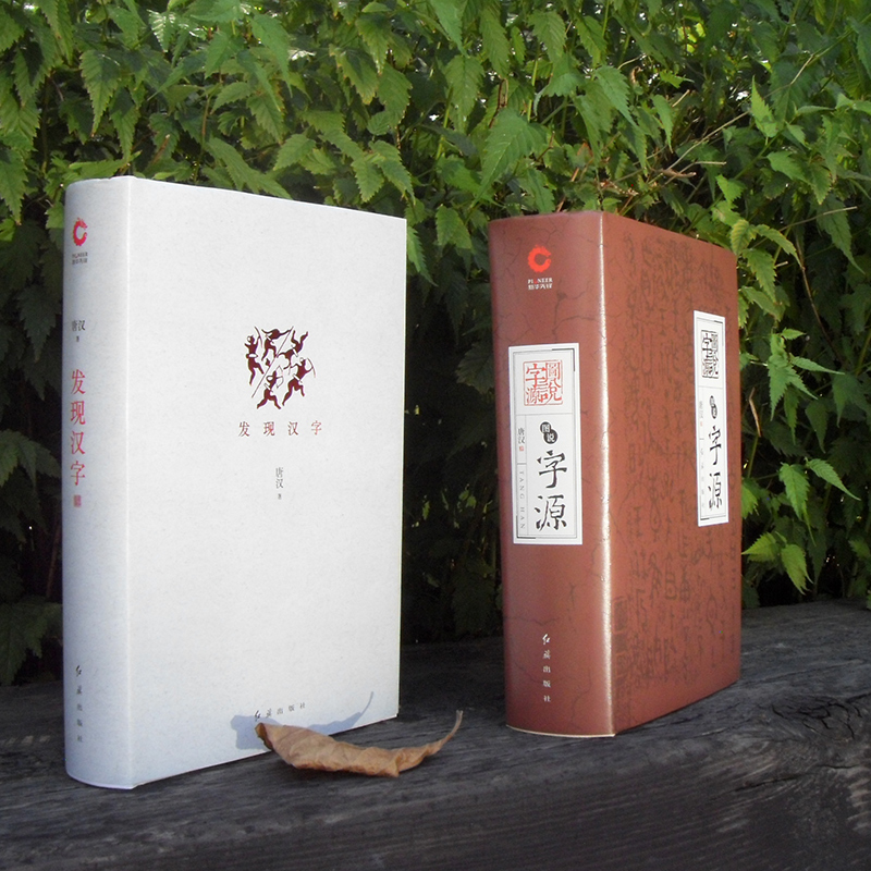  《发现汉字》+《图说字源》 方块字发展起源 甲骨文象形文
